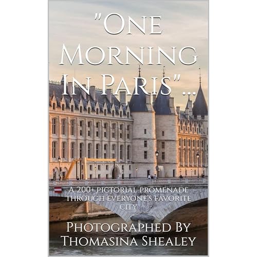 "One Morning In Paris"... Audiobook By Thomasina Shealey cover art