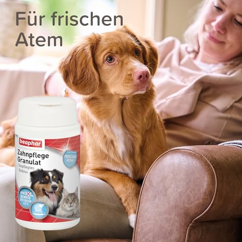 Beaphar Seealgen-Pulver, 75g
