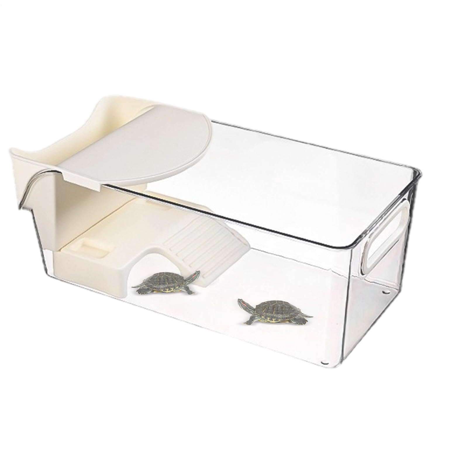 Abri pour tortues et enclos transparent de reptiles avec zone de soleil