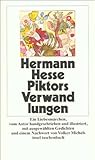 Piktors Verwandlungen (insel taschenbuch) - Hermann Hesse