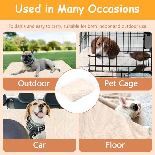 Neerow Hundedecke, 70x100 cm Katzendecke Sofa, Hunde Decke Waschbar, Fleece Haustier Decke Flauschig für Kleine und Mittelgroße Hunde, Katzen Kuscheldecke (Beige)