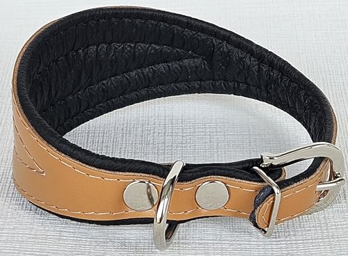 Greyhound Podenco Halsband, Halsumfang 26-32cm, 32-38 cm, 35-41cm, 40-47cm, 40-50cm Leder, Cognac- Schwarz (26-32cm/35 cm)