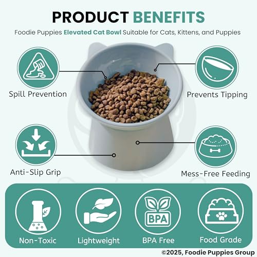 Foodie Puppies Store Foodie Puppies Elevated Cat Bowl Feeder Pack of 2 - Image 6