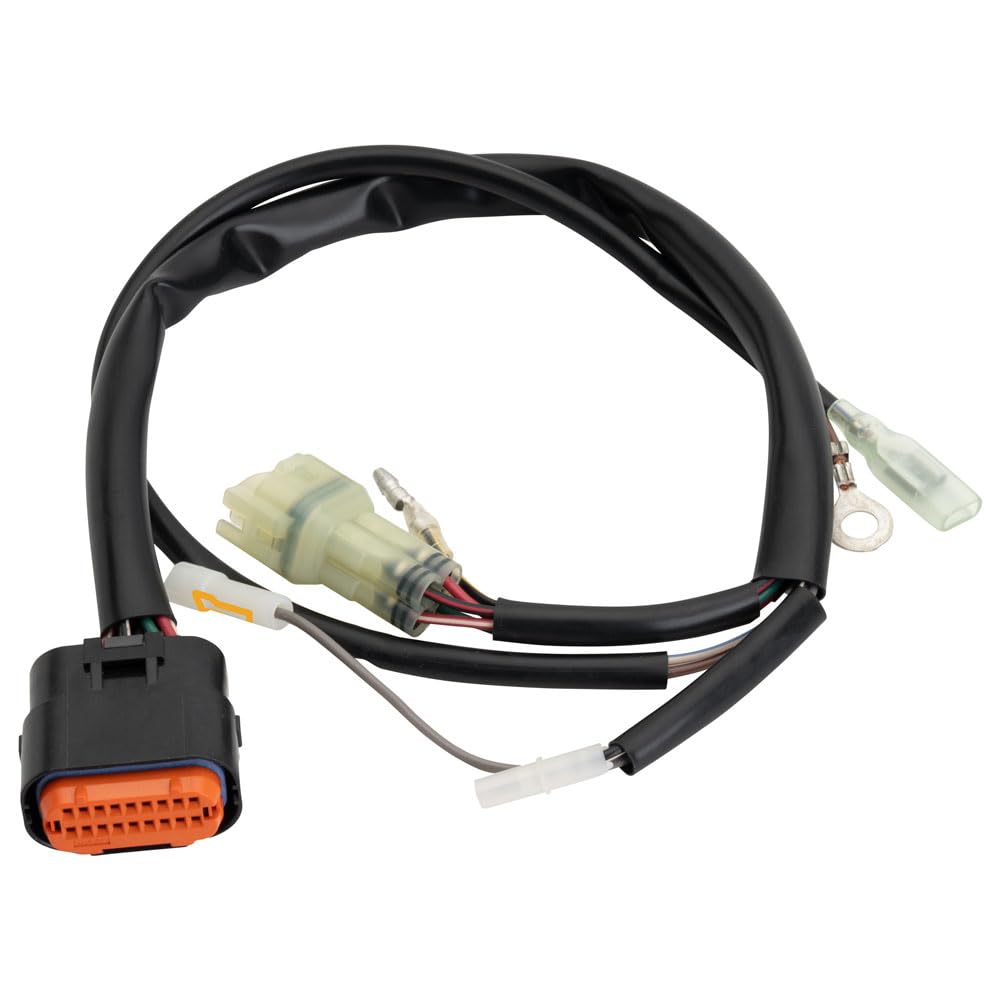 Amazon.com: KTM OEM Repalcement CDI Wiring Harness Compatible with