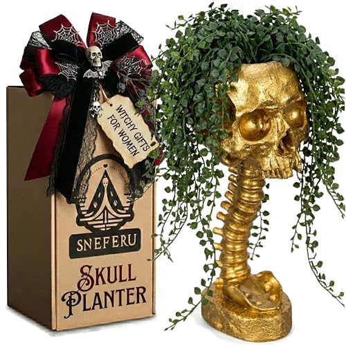 Pot de fleurs tête de mort Sneferu cache-pot gothique pour succulente - 2