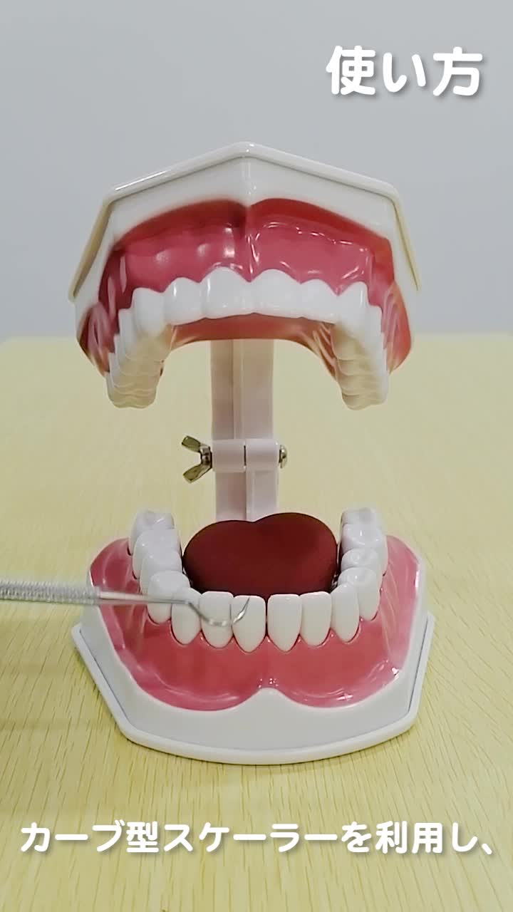 市場 歯石取り 掃除 歯石 ヤニ取り 歯科 虫歯 器具 歯垢取り むし歯 歯 歯石除去 スケーラー 歯石とり ヤニとり 歯鏡 デンタルミラー セット 歯周病予防