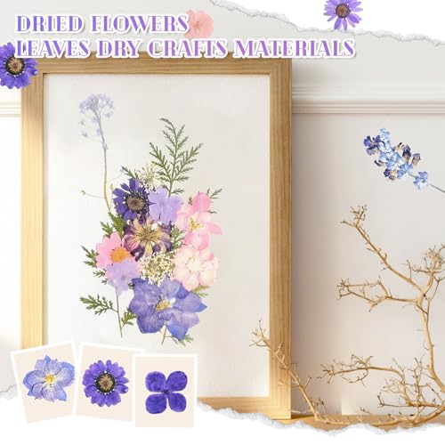 Miniatura 3 de Flores Secas Flores Preservadas Flores Secas Naturales Flores Preservadas Naturales Para Resina Para Diy Scrapbooking Manualidades Bisutería Decoraciones Morado