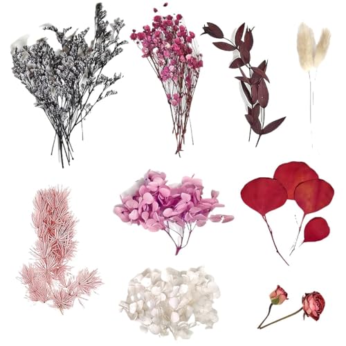 KSJEHW Flores secas naturais decorar flores secas decoração vasos ramos de flores secas flores preservadas naturais bouquet flores artificiais centro de flores secas (vermelhas)