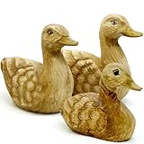 AEVVV Lot de 3 statues de canard en bois sculptées à la main, figurines de canard en bois, décorations de porche pour décoration de jardin, figurines de canard en bois, décoration d'intérieur, salon