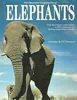 ELEPHANT BRAND 2 文庫本 k7-8-300x300.jpg