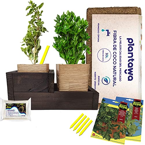 PLANTAWA Kit de Cultivo Completo de Cocina, Hierbas Aromáticas Frescas, Kit de Cultivo Interior, Kit de Cultivo en Casa, Sostenible, Kit de Cultivo de Plantas,Perejil, Orégano
