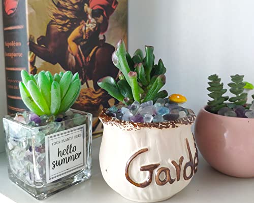 Duqguho Decorative Rocks Aquarium Gravel Natural Fluorite Crystals Chip Bulk Rocks Gravel For Plants Terrarium Supplies Little Fish Tank Gravel Pebbles Vase Filler 0.44 Lbs #TOP3