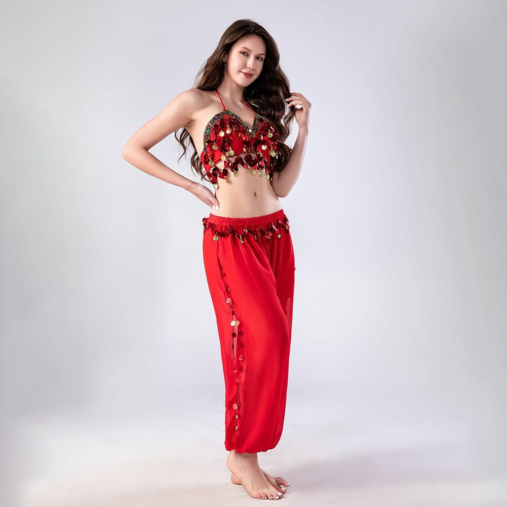 Women's Belly Dance Pants Elastic Wasited Coin Lantern Pants Side Split Sequin Shiny Harem Arabian India Performance Trousers - Image 5