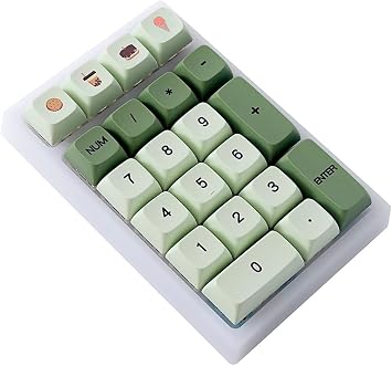 BOYI TD21 Hot Swappable Numpad,21 Keys Mini Numpad Portable Keypad Bluetooth 5.0/2.4GHz/Wired Number Pad Keyboard PBT Keycaps RGB Backlit Type-C Mini Keyboard (Matcha Green XDA Keycaps)