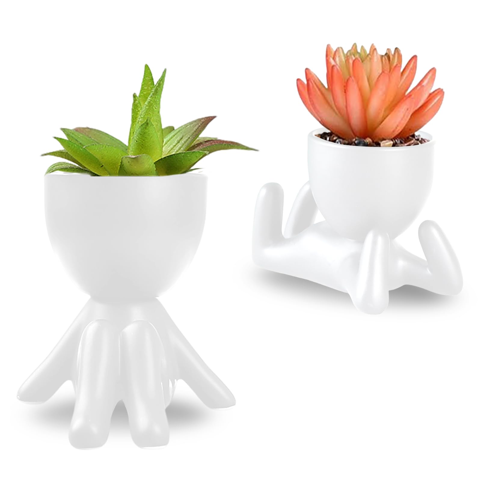 Plantes de Cactus Succulentes en Céramique Noire Design