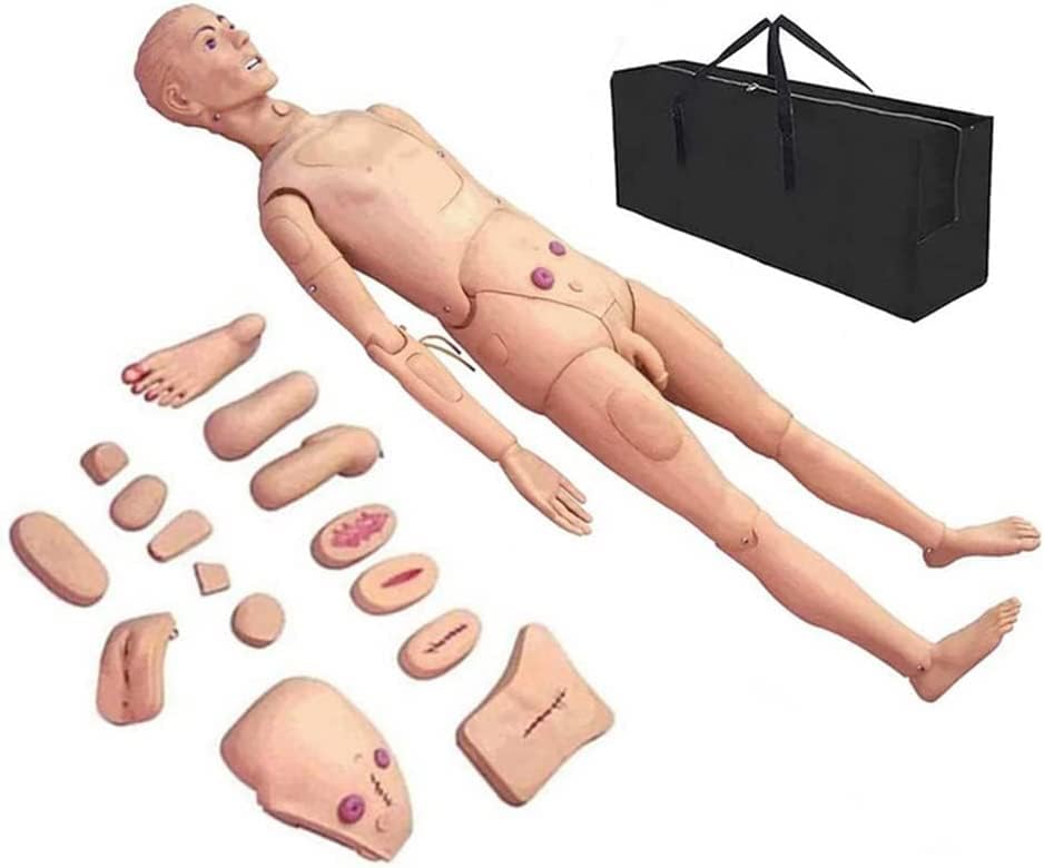 SXGCH トレーニング用医療マネキン PVC 医療トレーニング教育マネキンモデル男性と女性、看護医学学校での教育用、170cm