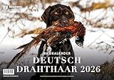 Deutsch Drahthaar 2026