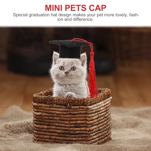Gorrito de Graduación para Mascotas Mini 4 piezas miniatura 6