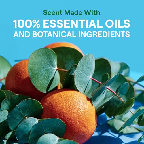 Image of Seventh Generation Laundry Detergent, 40 oz (53 loads), Fresh Scent, Fights Stains & Odor, Concentrated Formula, Scent Made From 100% Essential Oils & Botanical Ingredients
