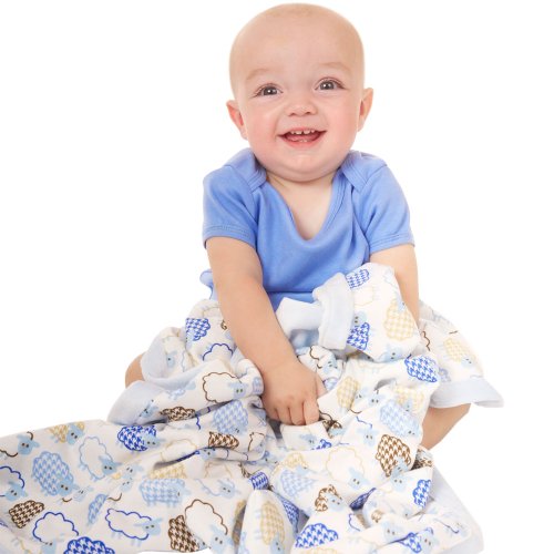 Image of Hudson Baby Unisex Baby Plush Blanket, Blue Sheep, One Size