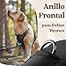 Imagen de rabbitgoo Arnes Perro Mediano con 3 Hebillas