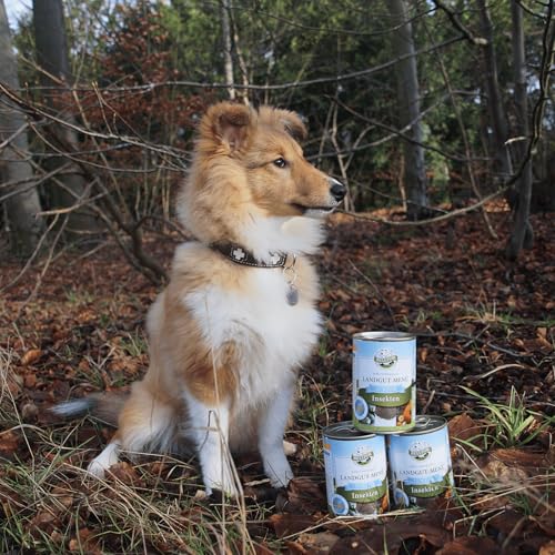 Bellfor Landgut-Menü Junior Hypoallergenes Hundenassfutter mit Insekten für Welpen – 400 g. Getreidefreies Nassfutter für Welpen ohne Soja und Zucker, geeignet für Sensible Hunde.