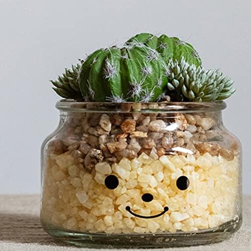 Amazon 観葉植物 多肉 フェイク 植物鉢植え 多肉植物 可愛い多肉 サボテン アロエ ハンドメイド 手作り サボテン鉢 ガラス鉢 花瓶 枯れない 植木鉢 永遠の命 造花 デコレーション 事務室 ベランダ 客間 砂利付き ミニサイズ 人工観葉植物 オンライン通販