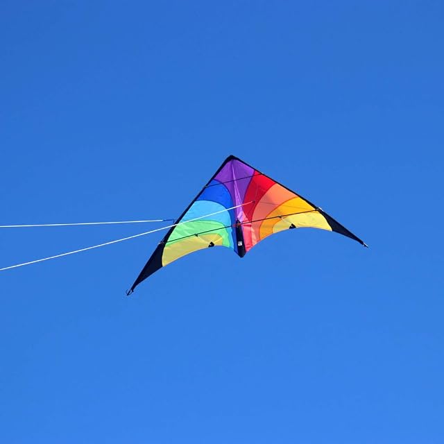 Foto 3 de 7 de Wolkenstürmer Cometa Fancy para Niños, Multicolor, Listo para Volar, con Varillas de Fibra de Vidrio