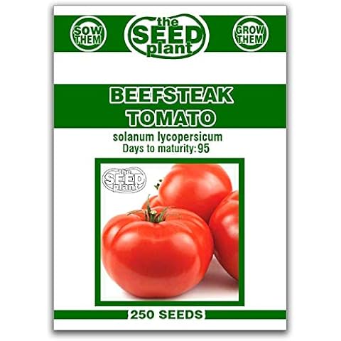 Beefsteak Tomato Seeds - 250 Seeds Non-GMO Cover