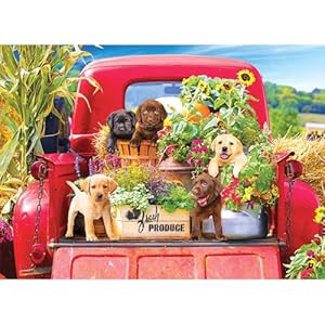 RoseArt – Kodak Premium – Stowaways – 1000 Piece Jigsaw Puzzle for Adults