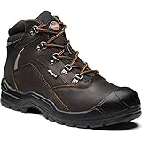 Sicherheitsstiefel. Dickies FA9005s Davant II Sicherheitsstiefel, Braun, Größe 38