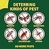 Rat Repellent, Natural Mouse Repellent Peppermint Oil, Rodent Deterrent for Mice, Rats, Squirrels, Spiders and Pests, Keeps Pests Away Effectively from Garden & Home 10 Packs
