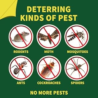 Rat Repellent, Natural Mouse Repellent Peppermint Oil, Rodent Deterrent for Mice, Rats, Squirrels, Spiders and Pests, Keeps Pests Away Effectively from Garden & Home 10 Packs