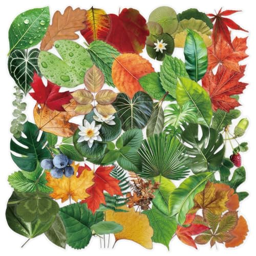 50 PCS Realistic Tropical Fall Leaves Stickers Waterproof Vinyl Decals for Scrapbooking Journaling Nature Leaf Stickers for Water Bottle Laptop DIY Crafts