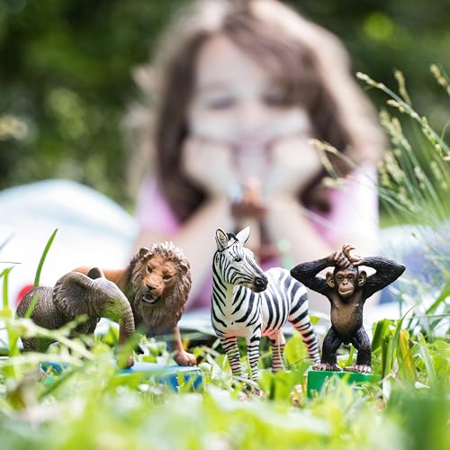 Schleich WILD Life | WILD Life Starter-Set 42387 | 6 x 24 x 19 cm – Ansicht 2