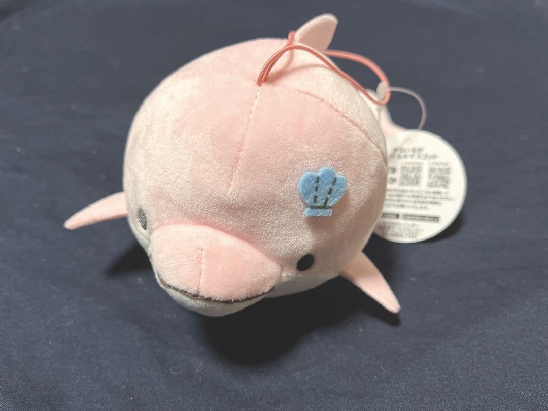 ゆるいるか ぬいぐるみ マスコット みいるか Amazon.co.jp: ゆるいるか ぬいぐるみマスコット みいるか