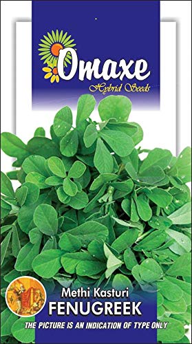 See full amazon price history chart for Omaxe Seeds Fenugreek Methi Kasturi Vegetable seeds Pack of 2 Kitchen Garden Packet Omaxe Seeds Fenugreek Methi Kasturi Vegetable seeds Pack of 2 Kitchen Garden Packet (B07MM5MX7T) Amazon Price History, Amazon Price Tracker