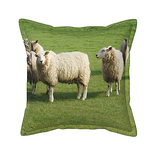 Housses de coussin décoratives style rustique pour relooker votre canapé