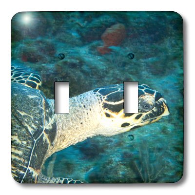 Interrupteur à bascule double décoratif tortue marine 3dRose lsp_86581