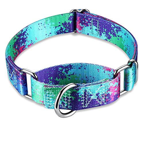 Dazzber Martingale Dog Collars Colourful Oil Painting Pattern Series - No Pull Pet Collar Silky Soft For Medium And Large Dogs (Small , Ecology Oasis) #TOP2