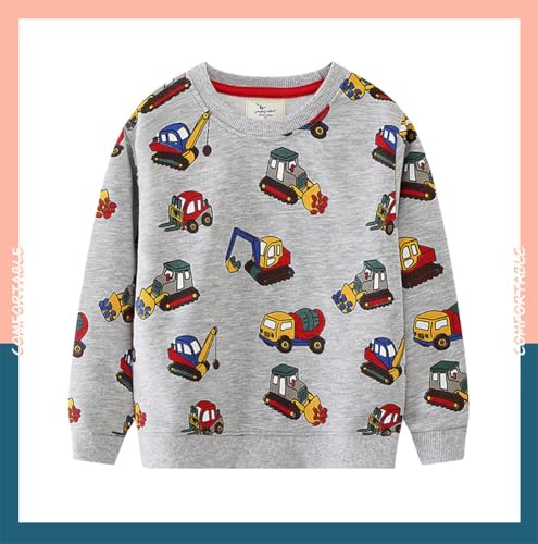 Boys Sweatshirts Casual Sweatshirts Cotton Sweatshirts Long Sleeve T-shirts Crew Neck Cartoon Tops for Boys-6593