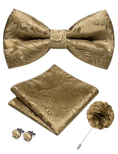 Image of RBOCOTT Paisley Bow Tie and Pocket Sqaure Set with Lapel Pin and Cufflinks for Men