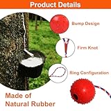 AUTOWNLUX 4 Stück Hundespielzeug Ball mit Schnur, ø 5/30 cm Hundespielzeug Ball Hund am Seil Naturkautschuk, Hundebälle Kleine (Rot, Gelb, Lila, Orange)