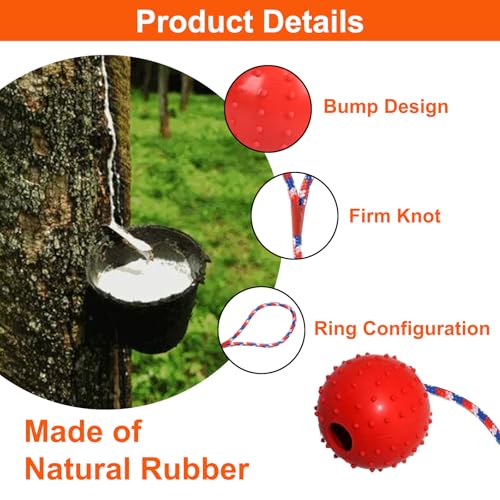 AUTOWNLUX 4 Stück Hundespielzeug Ball mit Schnur, ø 5/30 cm Hundespielzeug Ball Hund am Seil Naturkautschuk, Hundebälle Kleine (Rot, Gelb, Lila, Orange)
