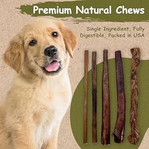 Top Dog Chews - 6" Bully Sticks Roasted - All Natural from Free Ranging Beef - 25 Pack Top Dog Chews 6 Bully Sticks Roasted All Natural from Free Ranging Beef 25 Pack
