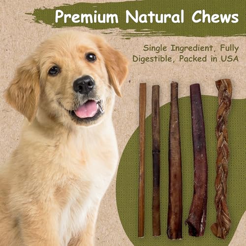 Top-Dog-Chews-6-Bully-Sticks-Roasted-All-Natural-from-Free-Ranging-Beef-25-Pack Top Dog Chews 6 Bully Sticks Roasted All Natural from Free Ranging Beef 25 Pack