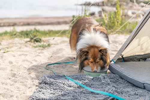 TRIXIE Schmutzfangmatte, wasserdicht, 100 × 70 cm, grau