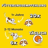 DREAMIES Katzensnacks - 6x60g - mit Rind - Traumhaft knusprige Katzen Leckerlies mit zarter Füllung – Ansicht 4