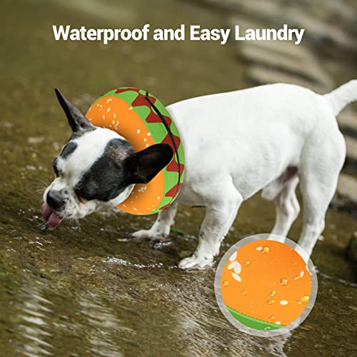 Bebang Recovery Collar For Dogs, Inflatable Dog Cone Collar, Protective Inflatable Collar For Dogs, Adjustable Pet Recovery Cone After Surgery, E Collar Recovery Collar For Cats, Soft Dog Cone, L #TOP4