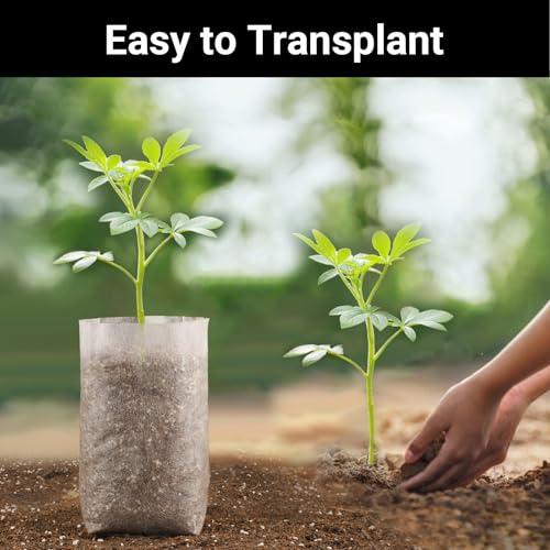 Sacos de cultivo de mudas para plantas a granel, EnPoint 15 x 20 cm, sacos de berçário não tecidos,